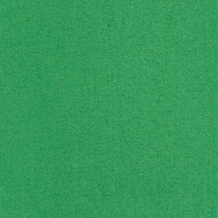 P08 - Green cloth